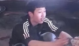 飞哥爆料东方树叶视频大全